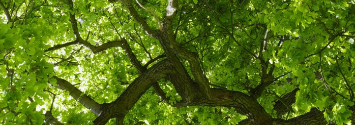 “Very knowledgeable and detail-oriented. His consultation has opened my eyes.”   — Pascal