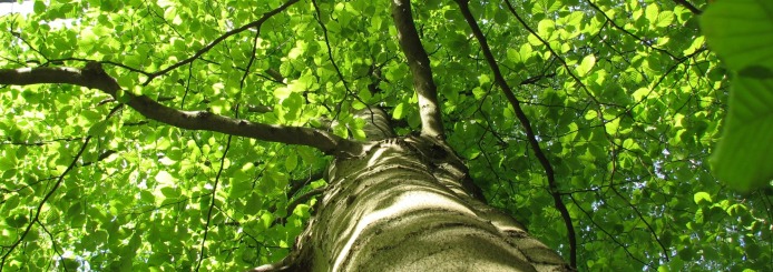 “Kevin has gathered great experience and knowledge, and is always ready to share it.”   — Carmen